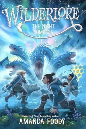 The Night Compass by Amanda Foody