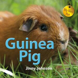 Guinea Pig by Jinny Johnson