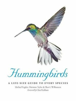 Hummingbirds by Marianne Taylor Michael Fogden