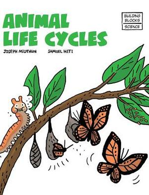 Animal Life Cycles by Joseph Midthun