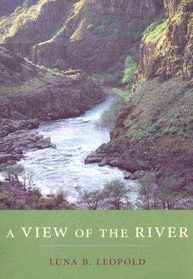 A View of the River by Luna B. Leopold