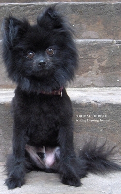 Pomeranian Cuteness Drawing writing Journal by Michael Huhn, Michael Huhn