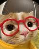 readbymadi's profile picture
