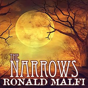 The Narrows by Ronald Malfi