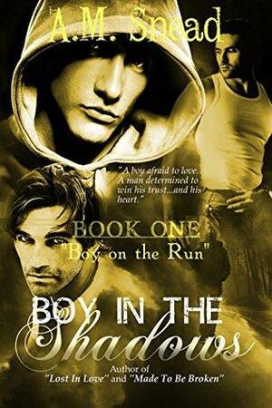 Boy on the Run by A.M. Snead