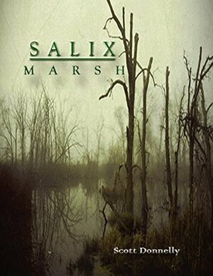 Salix Marsh by Scott Donnelly