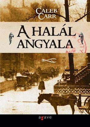 A halál angyala by Caleb Carr