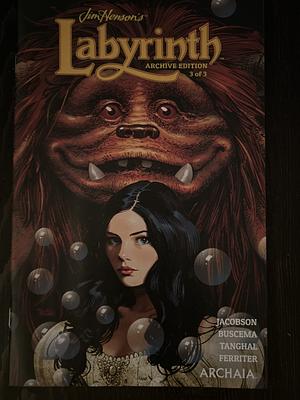 Jim Henson's Labyrinth Archive Edition #3 by Sid Jacobson