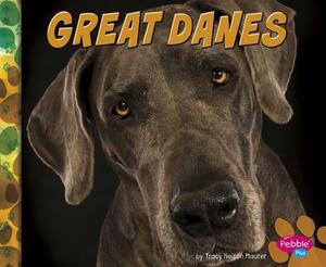 Great Danes by Allan Morey