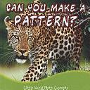 Can You Make a Pattern? by Lin Picou