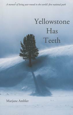 Yellowstone Has Teeth by Marjane Ambler