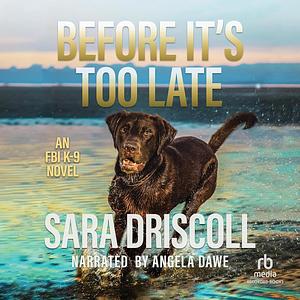 Before It's Too Late by Sara Driscoll