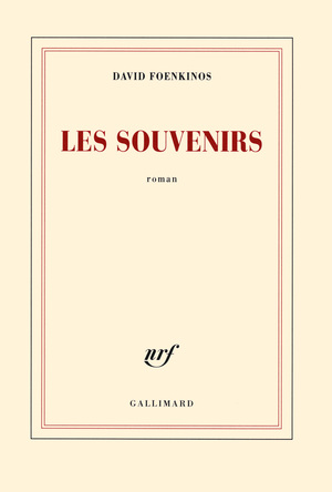 Les Souvenirs by David Foenkinos