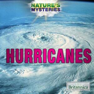 Hurricanes by Kristi Lew