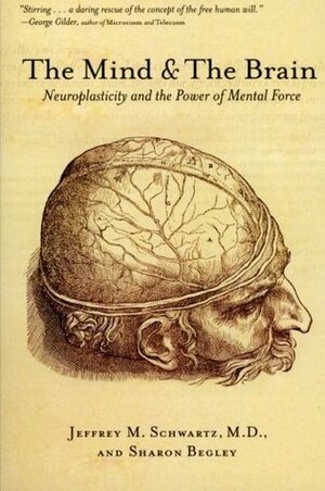 The Mind and the Brain: Neuroplasticity and the Power of Mental Force by Sharon Begley, Jeffrey M. Schwartz