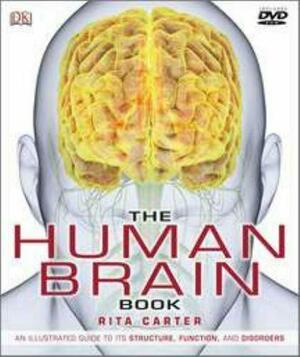 The Human Brain Book by Rita Carter