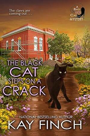 The Black Cat Steps on a Crack by Kay Finch