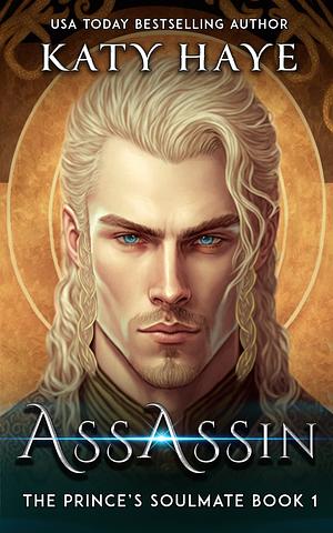 Assassin by Katy Haye