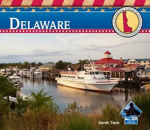 Delaware by Sarah Tieck