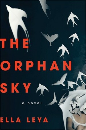 The Orphan Sky by Ella Leya