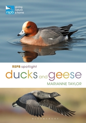 Rspb Spotlight Ducks and Geese by Marianne Taylor