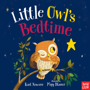 Little Owl's Bedtime by Karl Newson