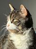 wb84's profile picture