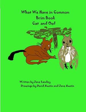 Cat and Owl: What We Have in Common Brim Book by 
