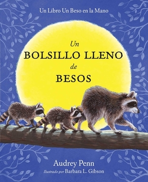 Un Bolsillo Lleno de Besos = A Pocket Full of Kisses by Audrey Penn