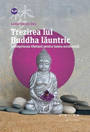 Trezirea lui Buddha lăuntric by Carmen Ilie-Dumitrescu, Lama Surya Das