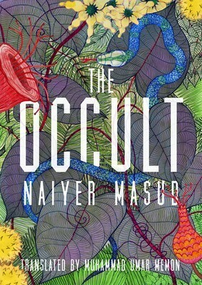 The Occult by Muhammad Umar Memon, Naiyer Masud