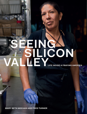 Seeing Silicon Valley: Life Inside a Fraying America by Mary Beth Meehan, Fred Turner