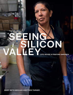 Seeing Silicon Valley: Life Inside a Fraying America by Fred Turner, Mary Beth Meehan