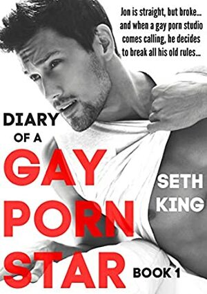 Diary of a Gay Porn Star by Seth King