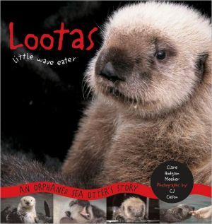 Lootas Little Wave Eater: An Orphaned Sea Otter's Story by Clare Hodgson Meeker, C.j. Casson