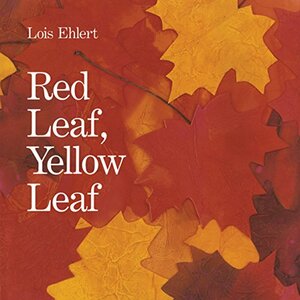 Red Leaf, Yellow Leaf Big Book by Lois Ehlert