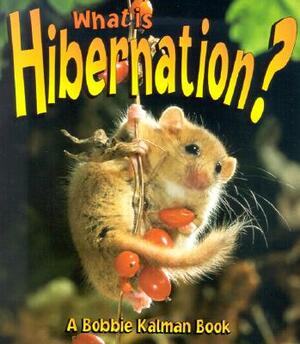 What is Hibernation? by John Crossingham