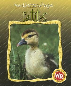 Patitos = Little Ducks by Anne Royer