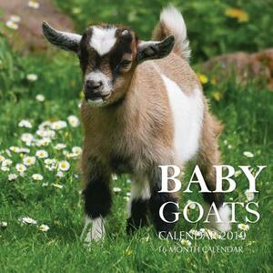 Baby Goats Calendar 2019: 16 Month Calendar by Mason Landon
