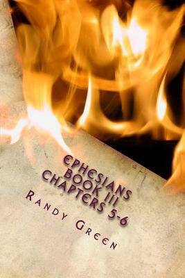Ephesians Book III: Chapters 5-6: Volume 15 of Heavenly Citizens in Earthly Shoes, An Exposition of the Scriptures for Disciples and Young by Randy Green