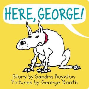 Here, George! by Sandra Boynton