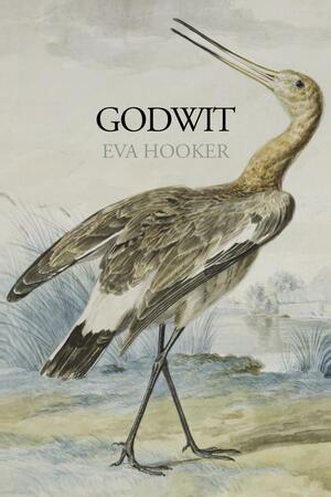 Godwit by Eva Hooker