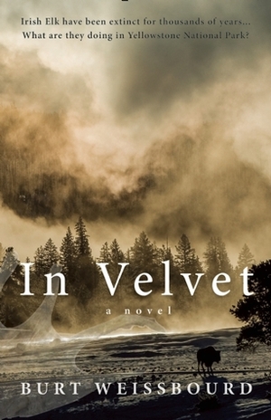 In Velvet by Burt Weissbourd