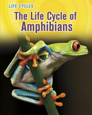 The Life Cycle of Amphibians by Darlene R. Stille