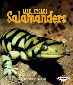 Salamanders by Robin Nelson