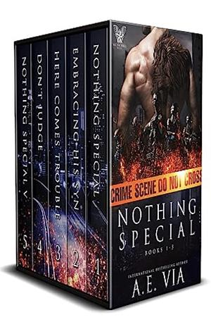 Nothing Special Books 1 - 5 by A.E. Via