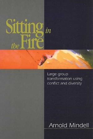 Sitting in the Fire: Large Group Transformation Using Conflict and Diversity by Arnold Mindell