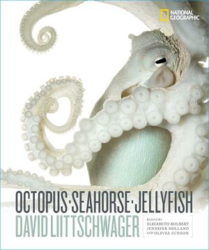 Octopus, Seahorse, Jellyfish by Jennifer Holland, Elizabeth Kolbert, David Liittschwager, Olivia Judson