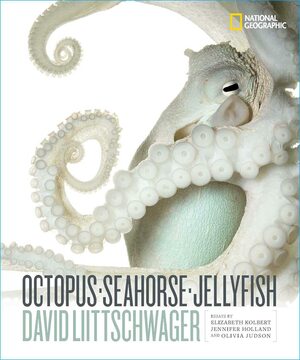 Octopus, Seahorse, Jellyfish by Elizabeth Kolbert, Olivia Judson, David Liittschwager, Jennifer Holland