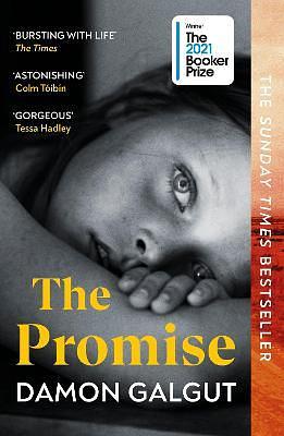 The Promise by Damon Galgut